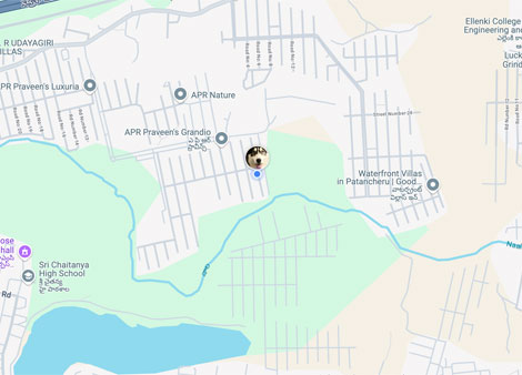 Snowy's Home Location